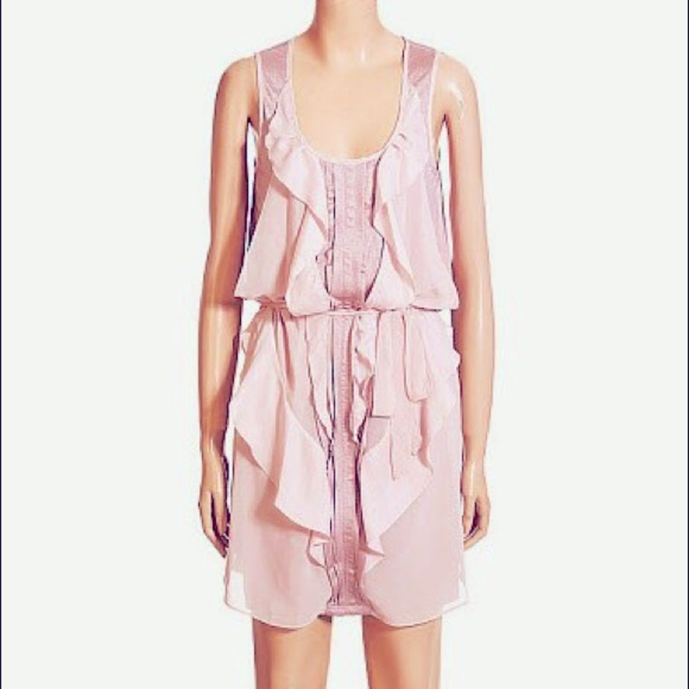 Eryn Brinie Indie Pink Chiffon Dress Small